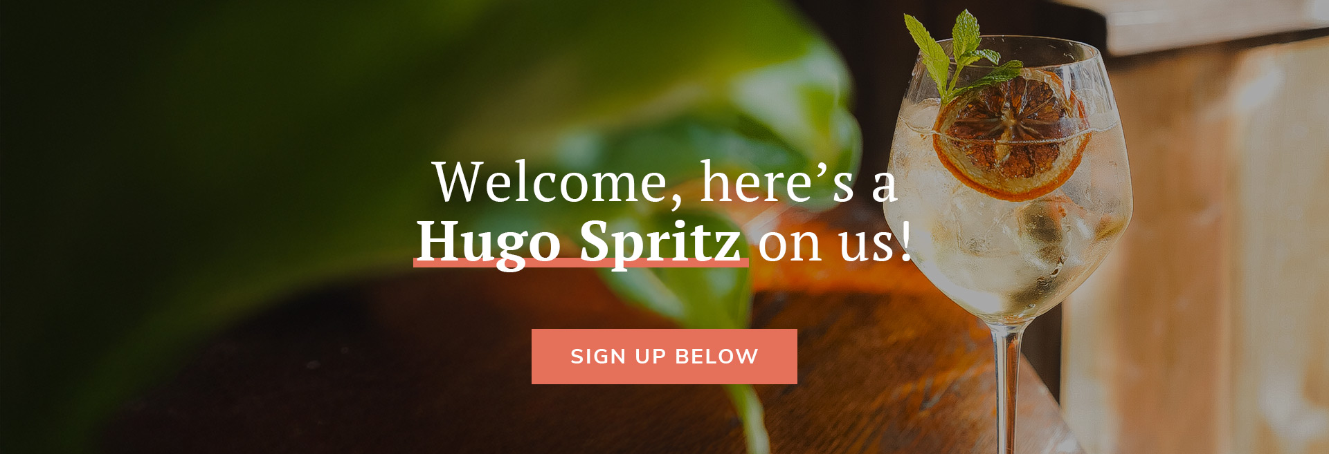 Sign up to the newsletter at The White Hart Crystal Palace